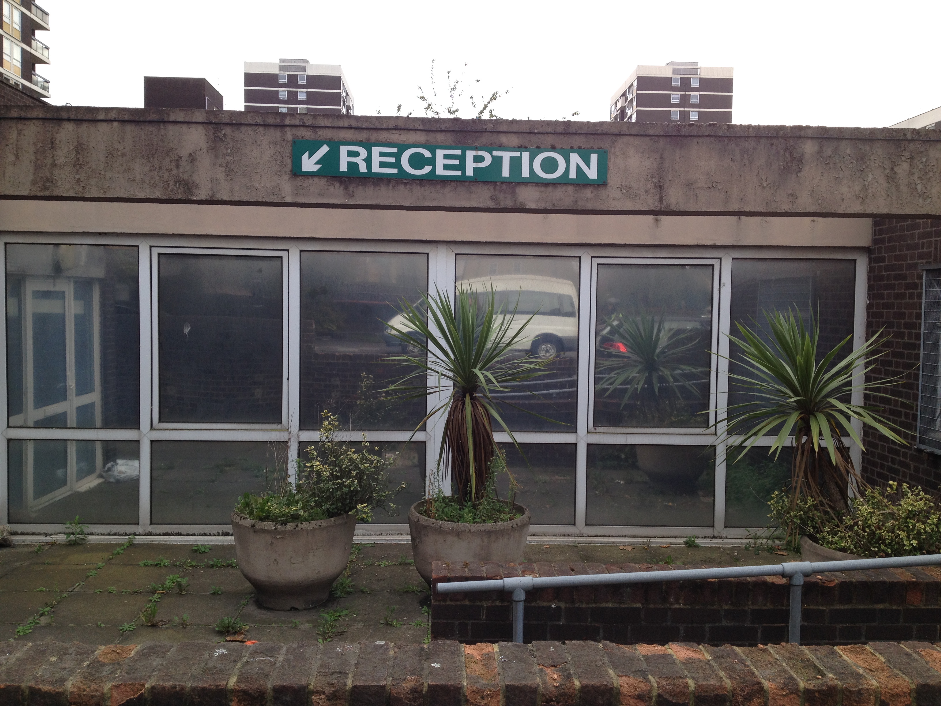 Tropical Reception