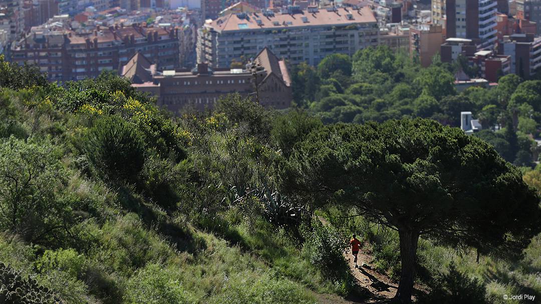 Collserola natural park is a protected area full of viewpoints, routes to follow, farmhouses and leisure areas. | Photo via barcelona.cat