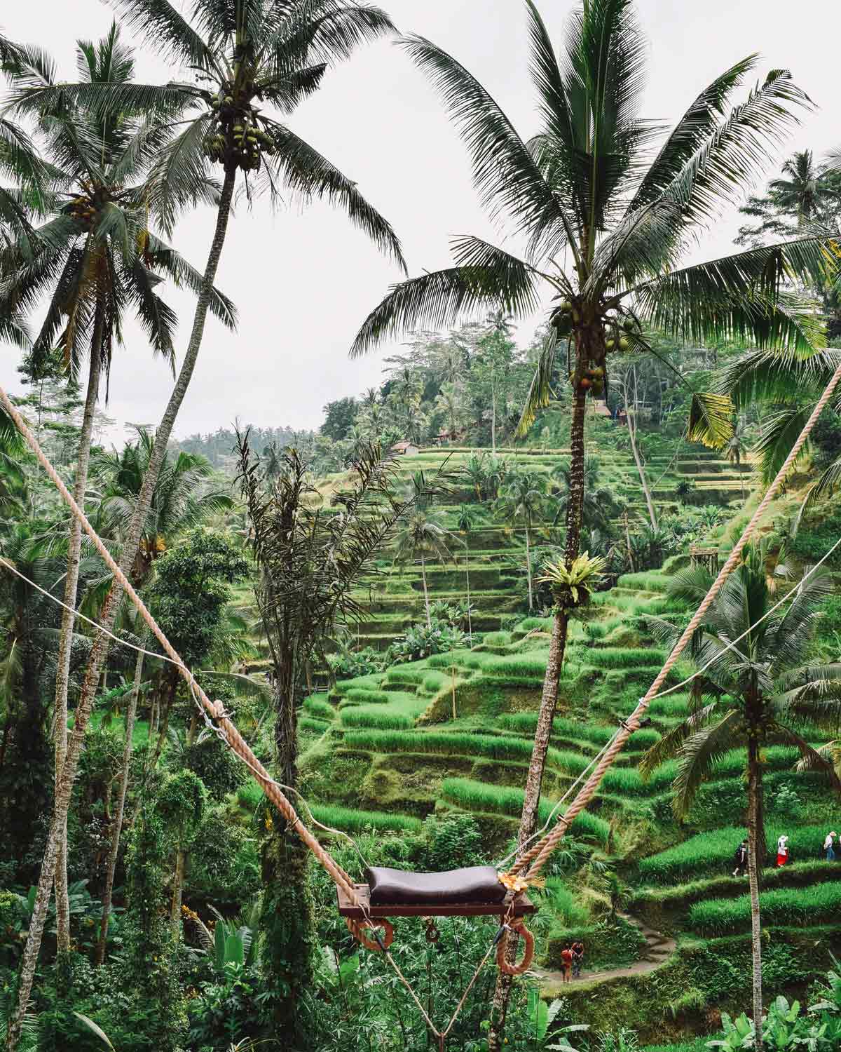 Ubud's famous rice terraces. Photo: Dave Weatherall via Unsplash.