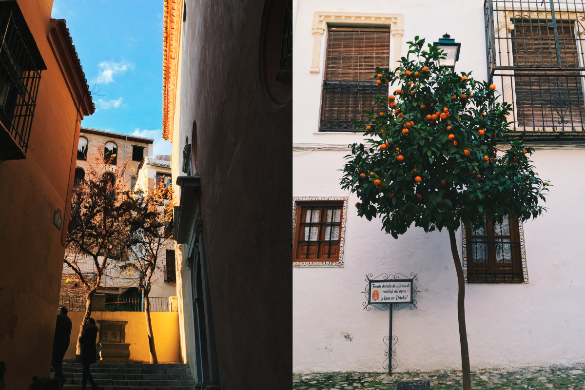 Going up the Albaicin: stairs and handsome old houses plus the ubiquitous orange trees around Granada, one of my favourite things.