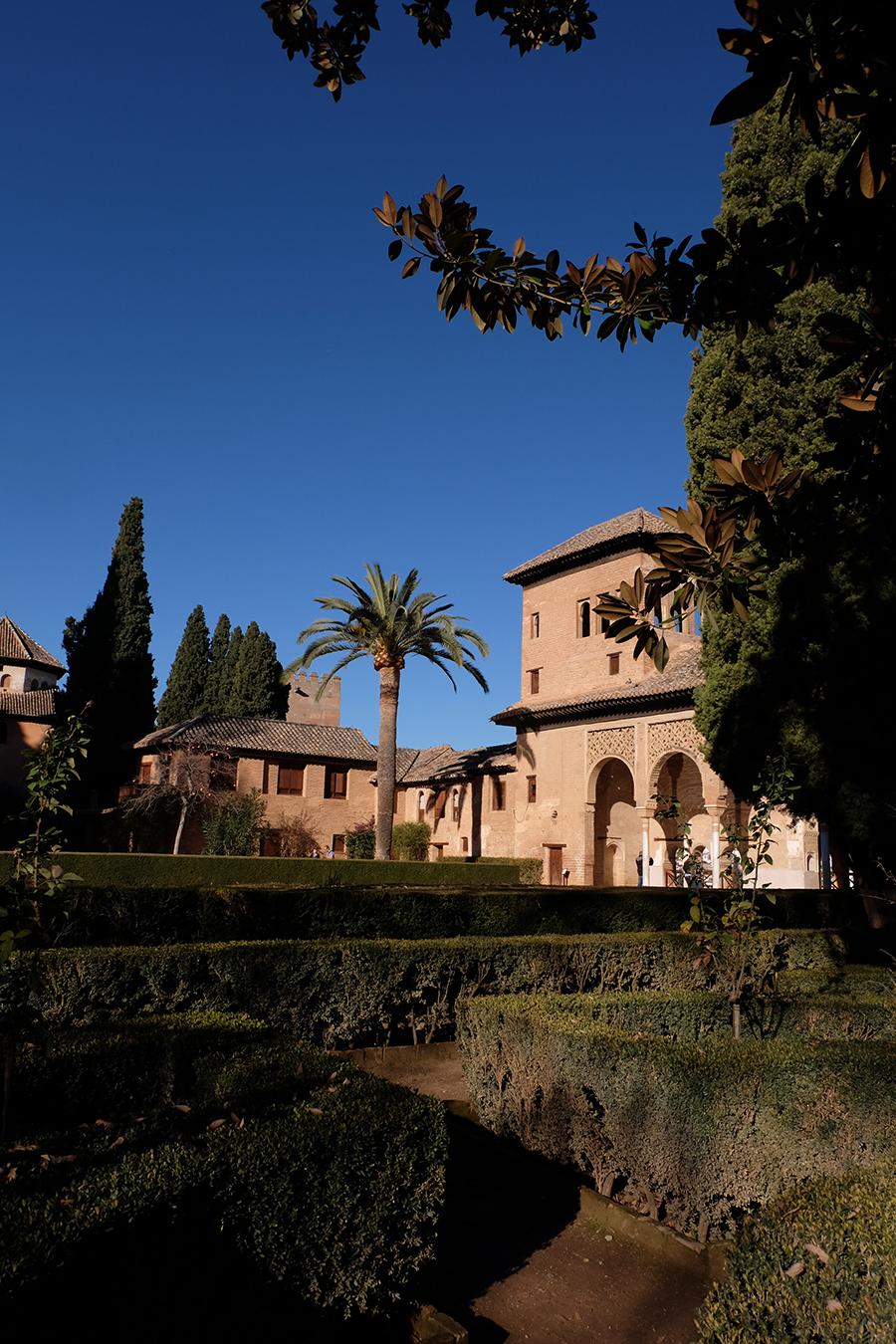 When you exit the Palace you enter The Partal, where a you can see an arched portico behind which stands the Tower of the Ladies and a large central pond. It's a beautiful and peaceful scenery. In the adjacent gardens they grow a variety of plants from flowers to chilies. The Partal was only included in the Alhambra a little more than a century ago.