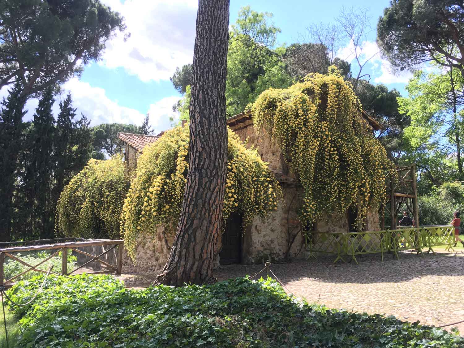 Minihouse at the entrance of the park.