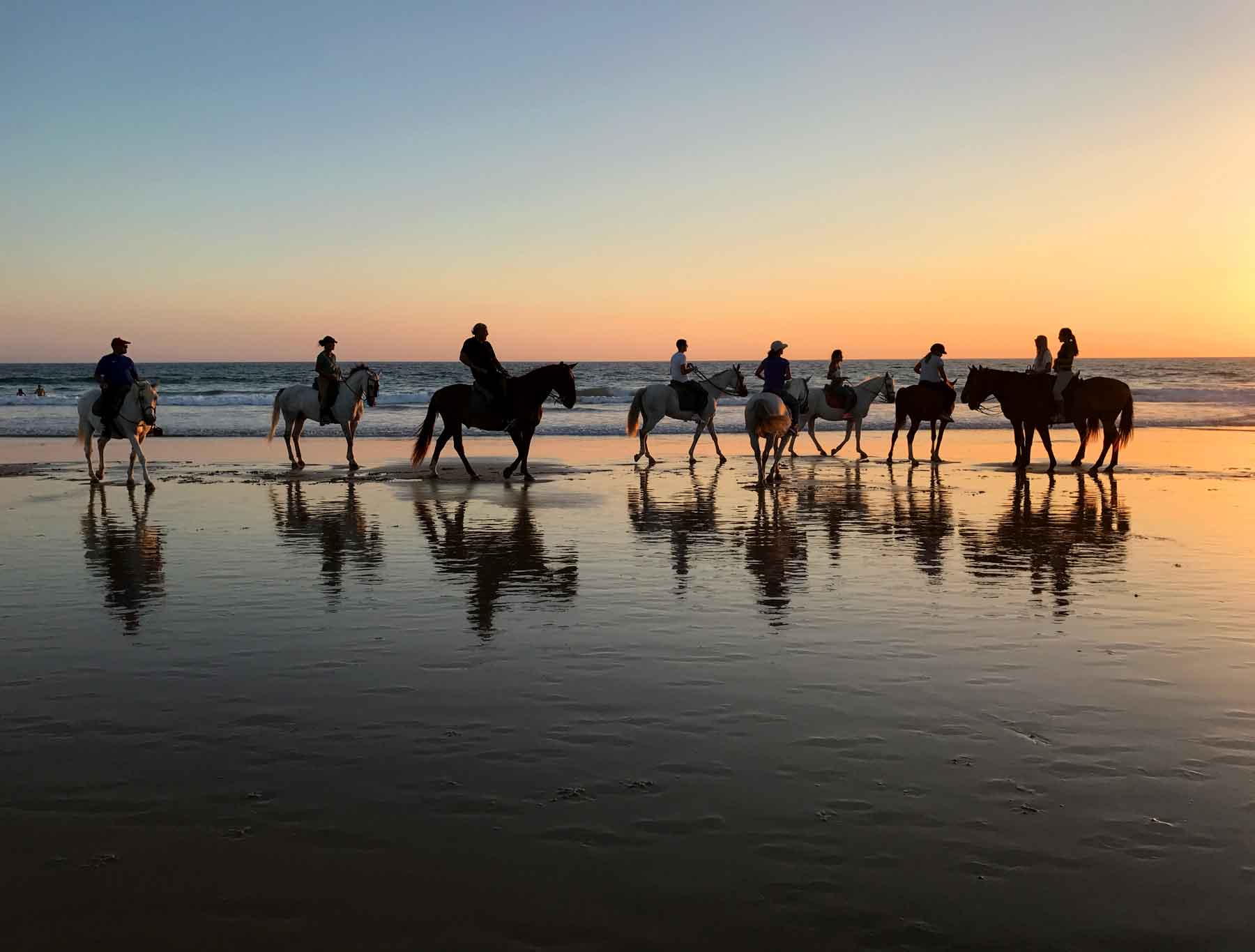 Yup, you can rent a horse to ride the beach at sunset... your own private Danielle Steel novel cover. 