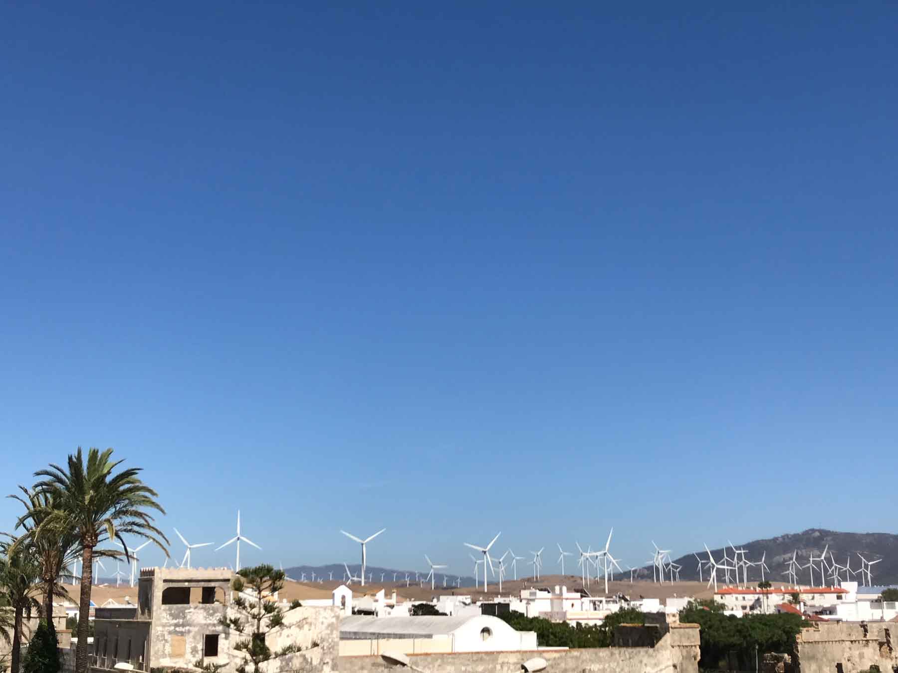 Pretty amazing the mountain view filled with wind turbines.