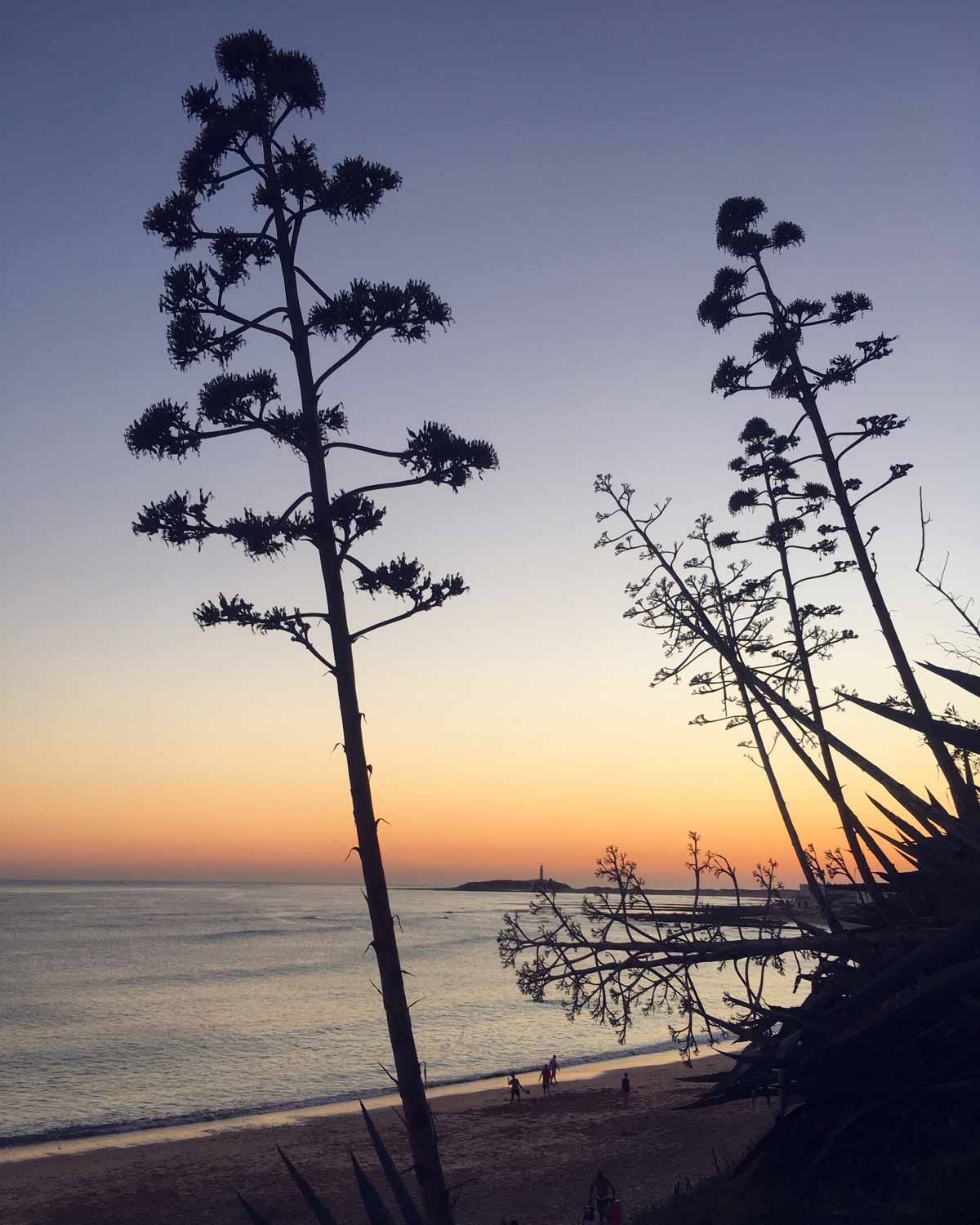 Sunset from La Jaima. You can see Cape Trafalgar on the back.