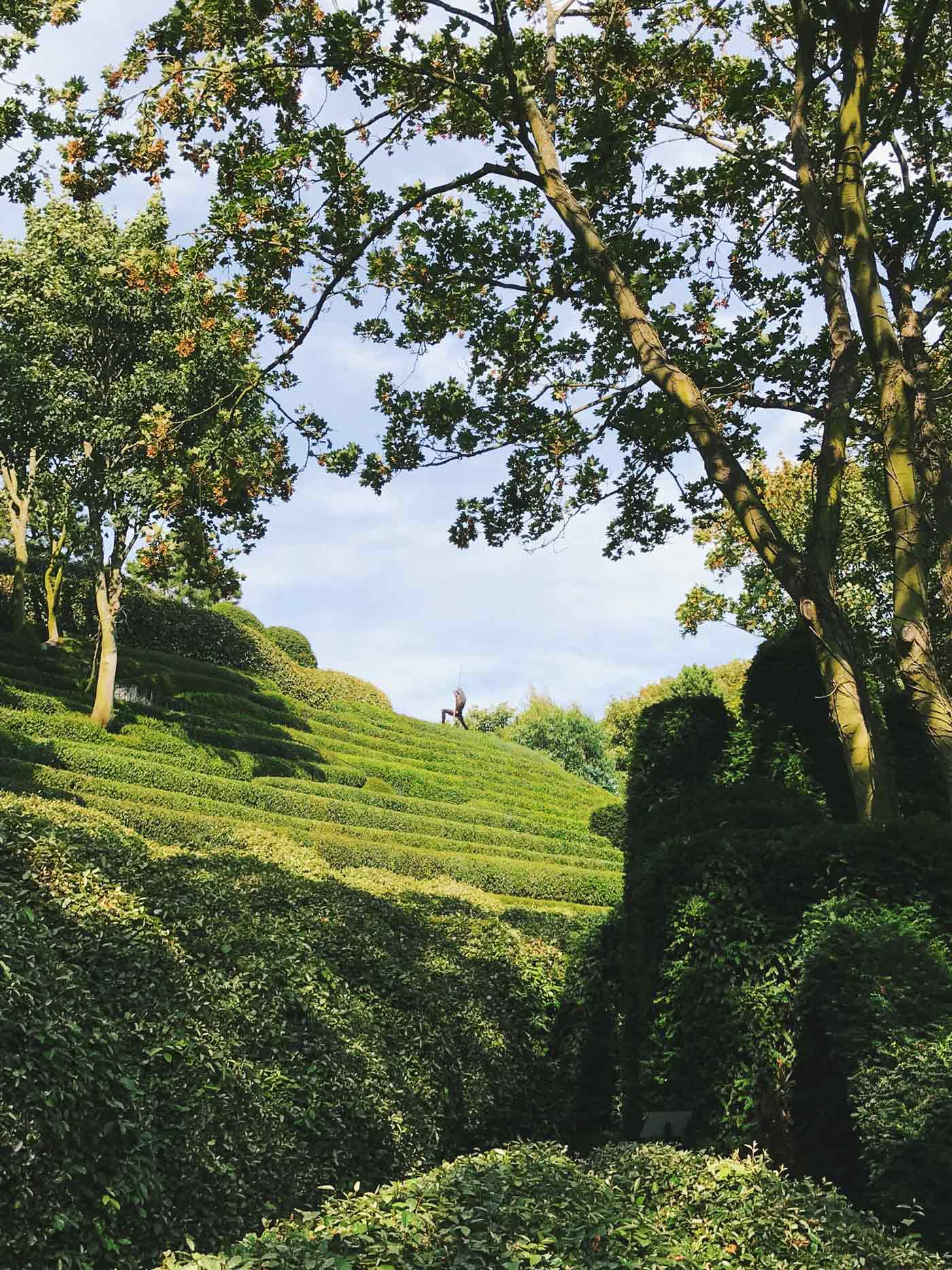 Jardin d'Amont: The plants morph into cliffs and merge with the line of the horizon. They imitate the rocky layers of the White Cliffs of Normandy’s Alabaster Coast. 